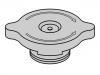 Radiator Cap:1 613 291