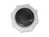 Radiator Cap:77 00 805 031