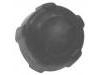 Radiator Cap:77 00 805 131